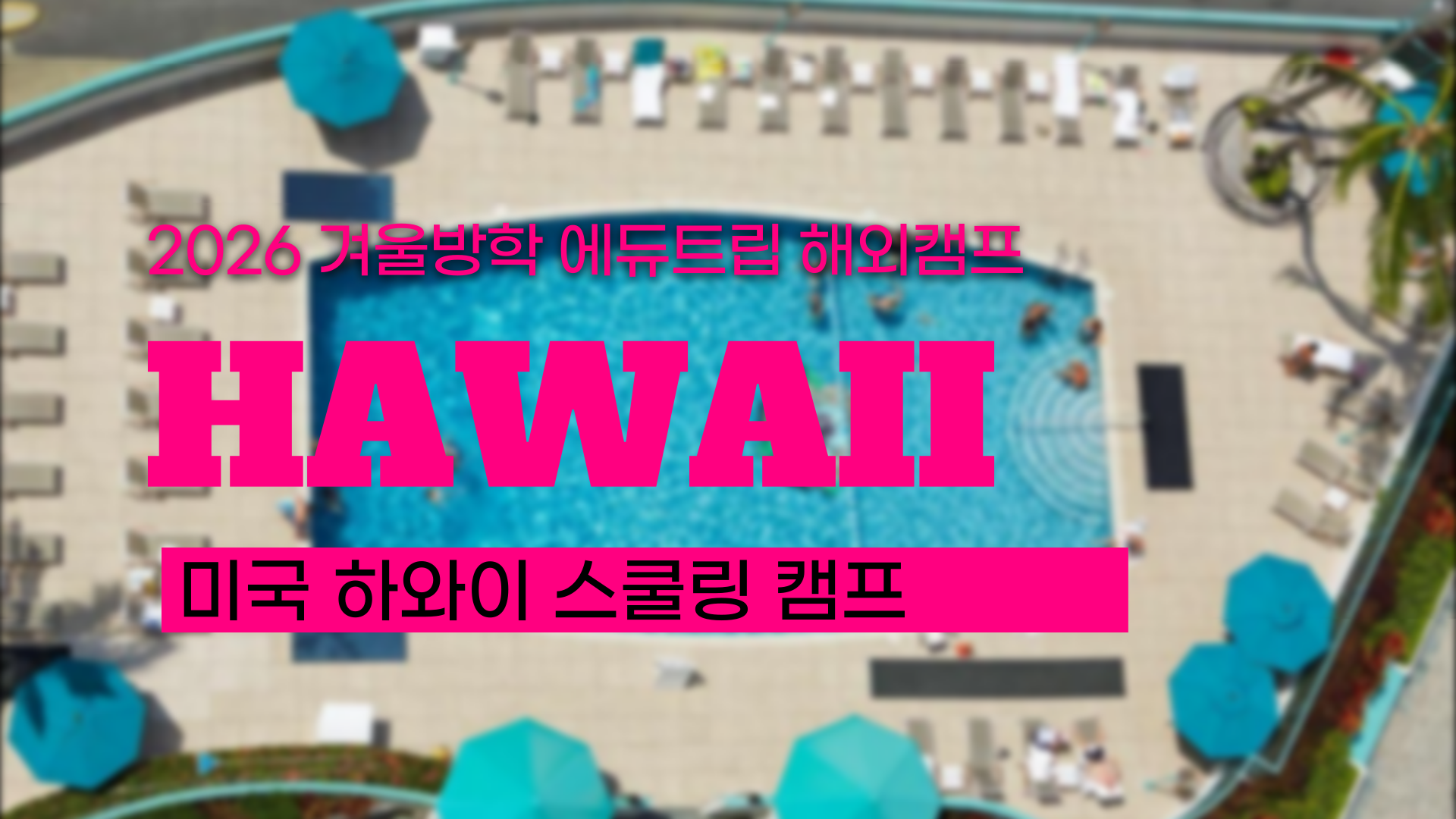 [2026 겨울방학 해외캠프] 하와이 한달살기: 명문 사립학교 스쿨링부터 가족형 숙소까지 완벽 정리 (비용 총정리)